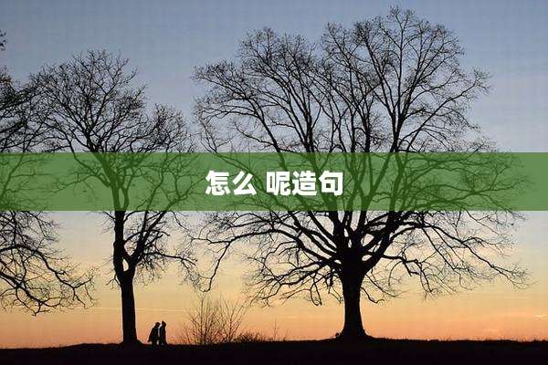 怎么 呢造句
