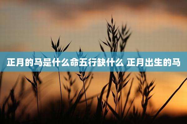 正月的马是什么命五行缺什么 正月出生的马