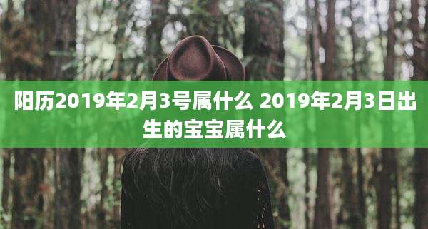 阳历2019年2月3号属什么 2019年2月3日出生的宝宝属什么