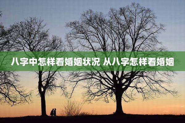 八字中怎样看婚姻状况 从八字怎样看婚姻