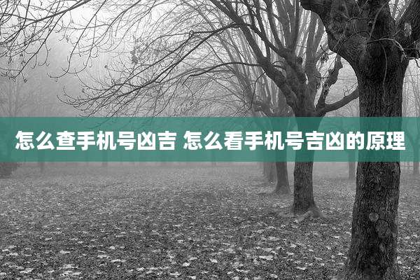 怎么查手机号凶吉 怎么看手机号吉凶的原理