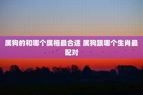 属狗的和哪个属相最合适 属狗跟哪个生肖最配对