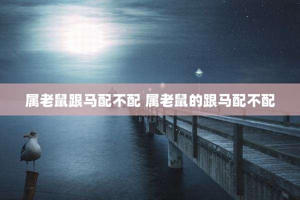属老鼠跟马配不配 属老鼠的跟马配不配