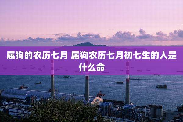 属狗的农历七月 属狗农历七月初七生的人是什么命