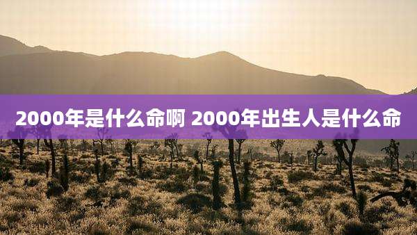 2000年是什么命啊 2000年出生人是什么命