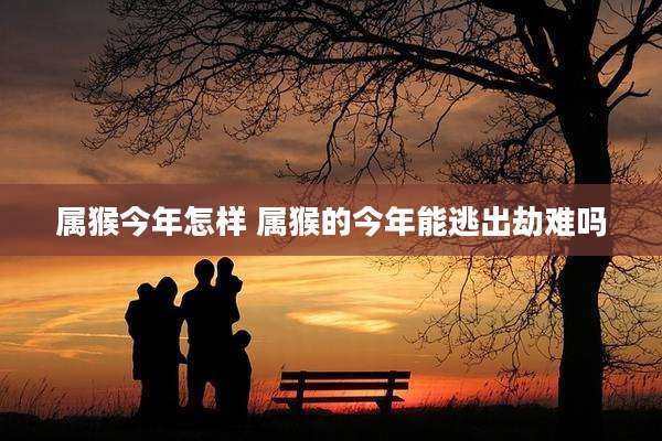 属猴今年怎样 属猴的今年能逃出劫难吗