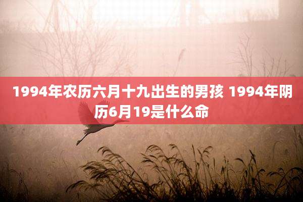 1994年农历六月十九出生的男孩 1994年阴历6月19是什么命