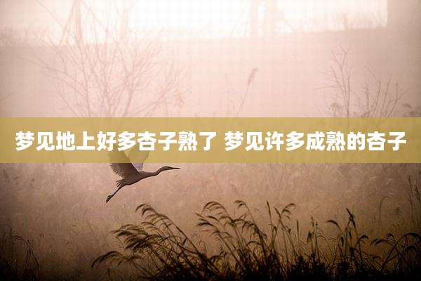 梦见地上好多杏子熟了 梦见许多成熟的杏子