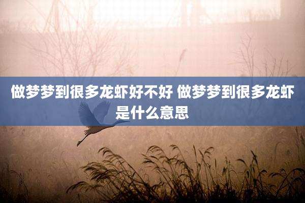 做梦梦到很多龙虾好不好 做梦梦到很多龙虾是什么意思