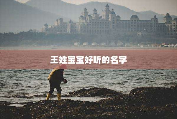 王姓宝宝好听的名字