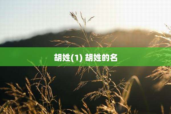 胡姓(1) 胡姓的名