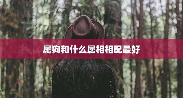 属狗和什么属相相配最好