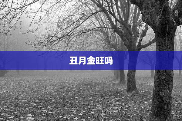 丑月金旺吗