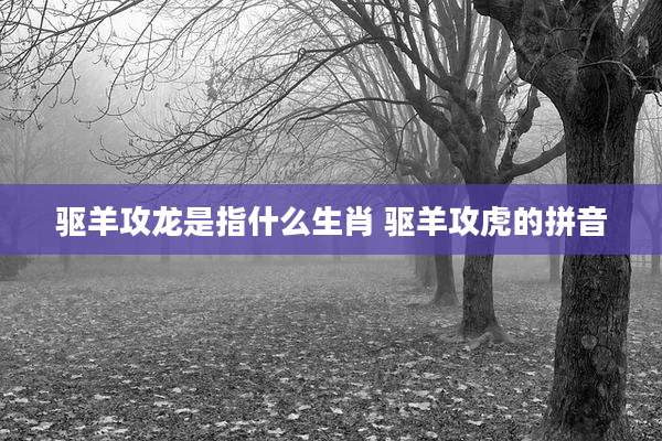 驱羊攻龙是指什么生肖 驱羊攻虎的拼音