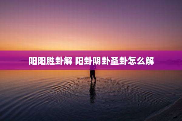 阳阳胜卦解 阳卦阴卦圣卦怎么解