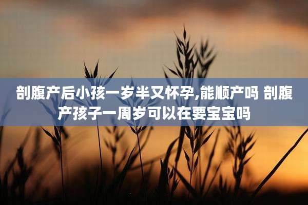剖腹产后小孩一岁半又怀孕,能顺产吗 剖腹产孩子一周岁可以在要宝宝吗