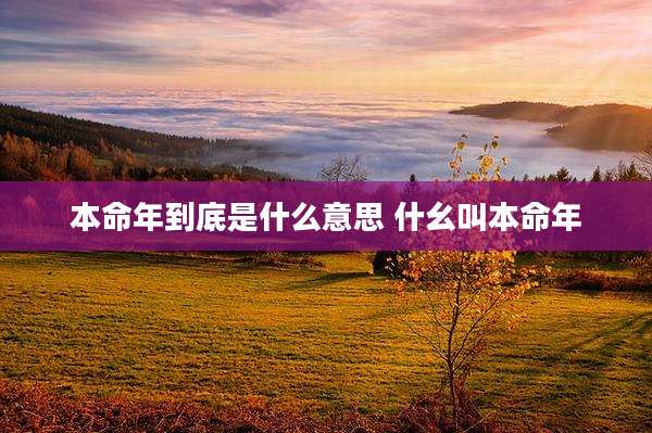 本命年到底是什么意思 什幺叫本命年