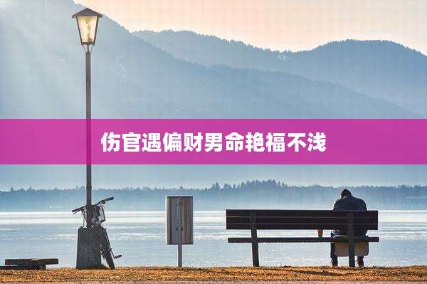 伤官遇偏财男命艳福不浅