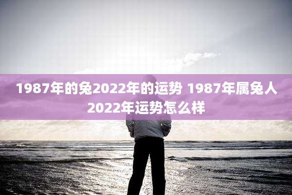 1987年的兔2022年的运势 1987年属兔人2022年运势怎么样