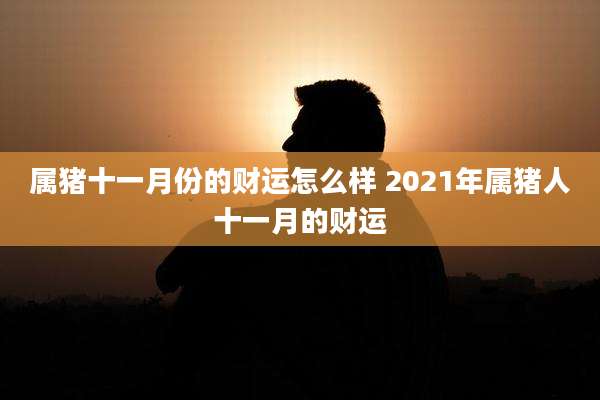 属猪十一月份的财运怎么样 2021年属猪人十一月的财运