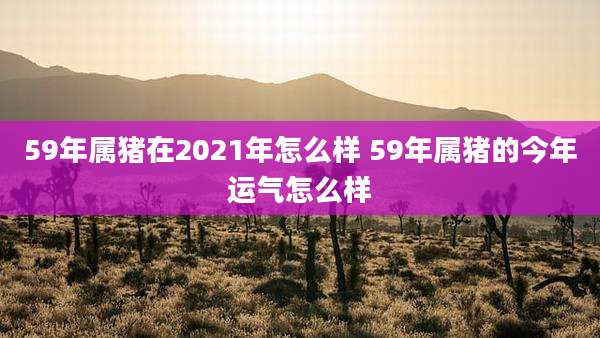 59年属猪在2021年怎么样 59年属猪的今年运气怎么样
