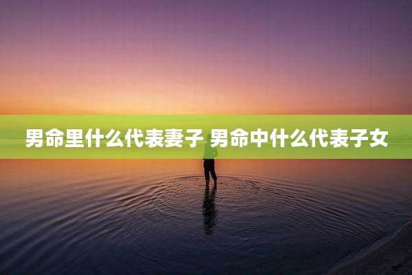 男命里什么代表妻子 男命中什么代表子女
