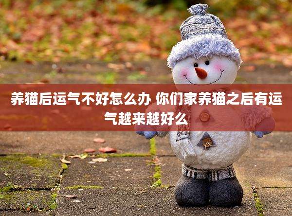 养猫后运气不好怎么办 你们家养猫之后有运气越来越好么