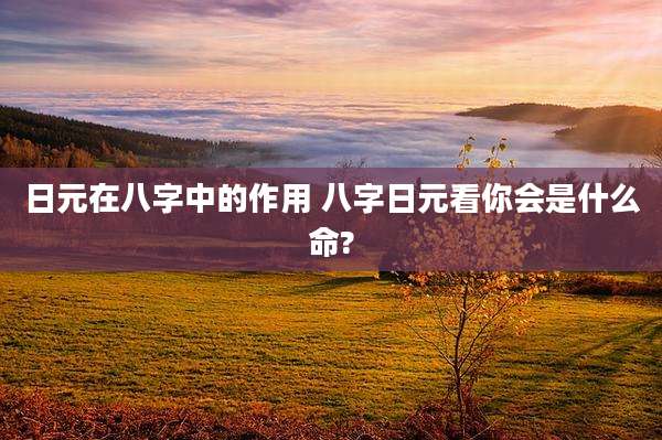 日元在八字中的作用 八字日元看你会是什么命?