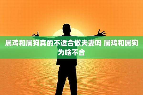 属鸡和属狗真的不适合做夫妻吗 属鸡和属狗为啥不合