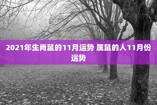 2021年生肖鼠的11月运势 属鼠的人11月份运势