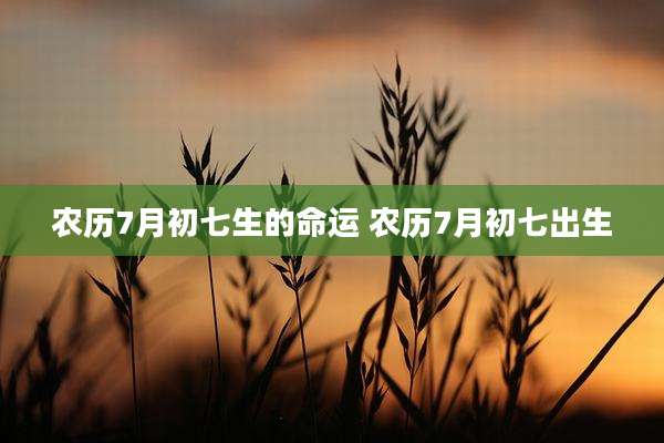 农历7月初七生的命运 农历7月初七出生