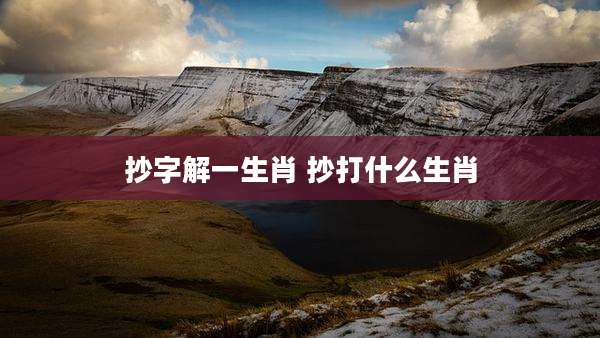 抄字解一生肖 抄打什么生肖