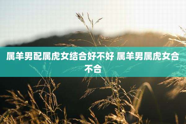 属羊男配属虎女结合好不好 属羊男属虎女合不合