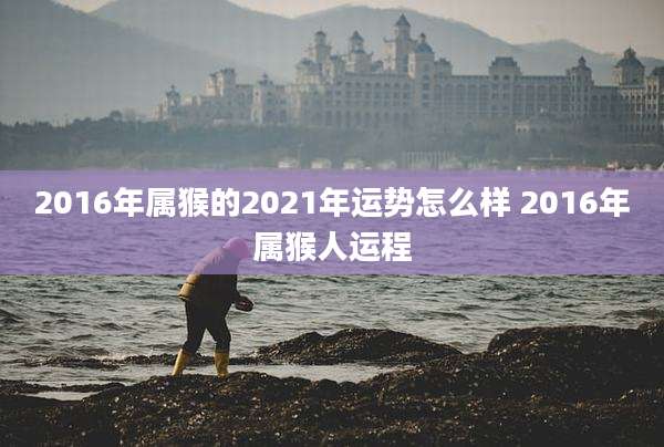 2016年属猴的2021年运势怎么样 2016年属猴人运程