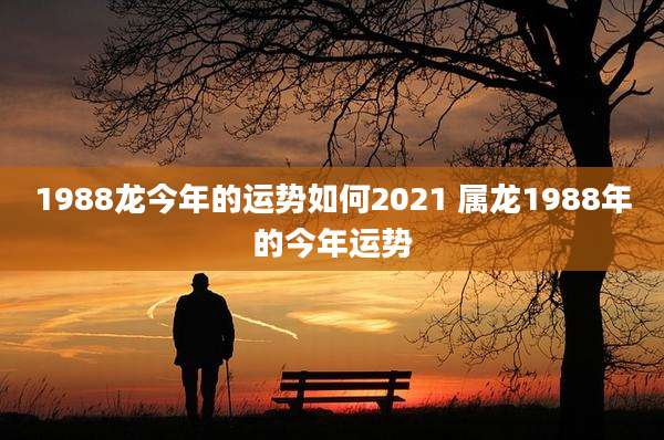 1988龙今年的运势如何2021 属龙1988年的今年运势