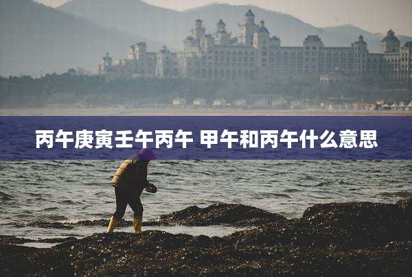 丙午庚寅壬午丙午 甲午和丙午什么意思