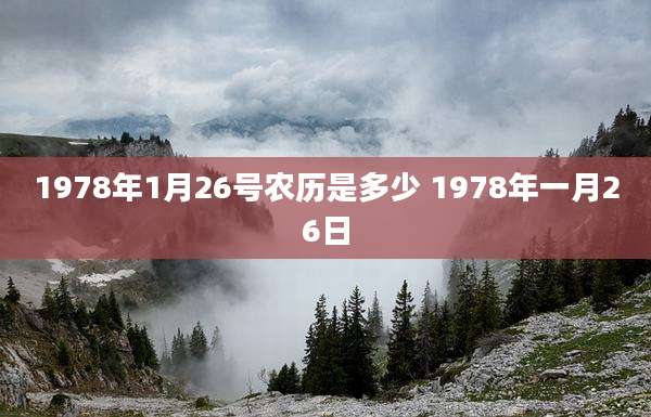 1978年1月26号农历是多少 1978年一月26日