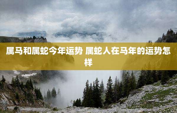 属马和属蛇今年运势 属蛇人在马年的运势怎样