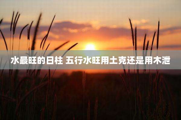 水最旺的日柱 五行水旺用土克还是用木泄