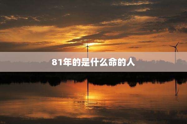 81年的是什么命的人