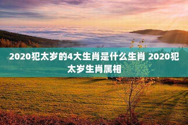 2020犯太岁的4大生肖是什么生肖 2020犯太岁生肖属相