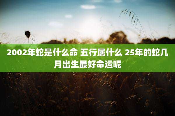 2002年蛇是什么命 五行属什么 25年的蛇几月出生最好命运呢