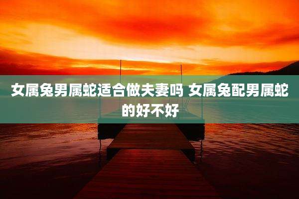 女属兔男属蛇适合做夫妻吗 女属兔配男属蛇的好不好