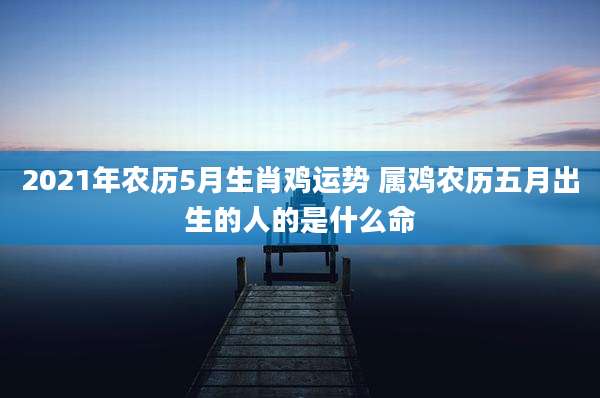 2021年农历5月生肖鸡运势 属鸡农历五月出生的人的是什么命