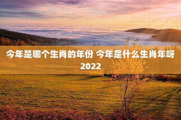 今年是哪个生肖的年份 今年是什么生肖年呀2022