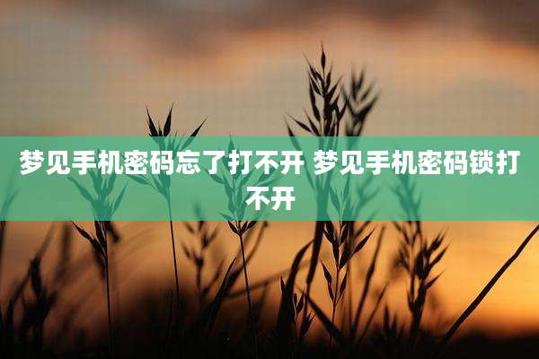 梦见手机密码忘了打不开 梦见手机密码锁打不开
