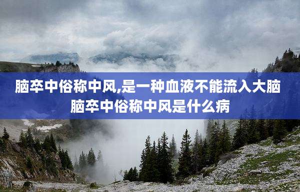 脑卒中俗称中风,是一种血液不能流入大脑 脑卒中俗称中风是什么病