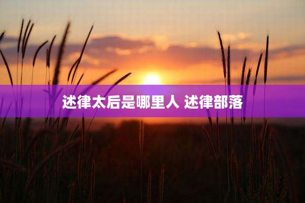 述律太后是哪里人 述律部落