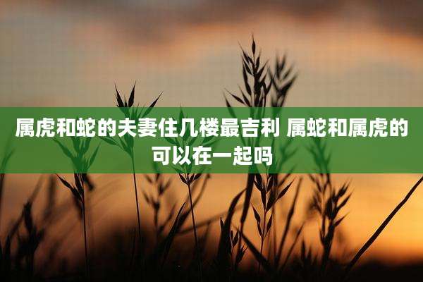 属虎和蛇的夫妻住几楼最吉利 属蛇和属虎的可以在一起吗