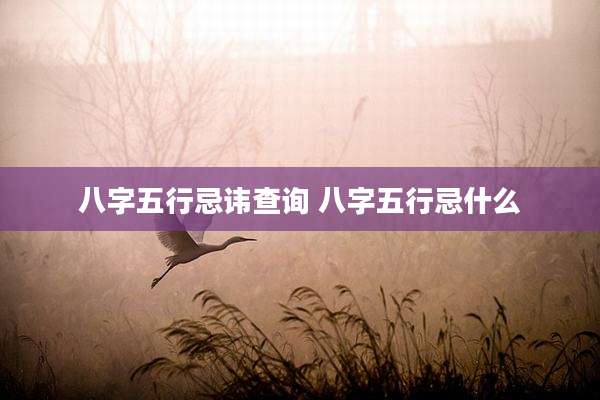 八字五行忌讳查询 八字五行忌什么